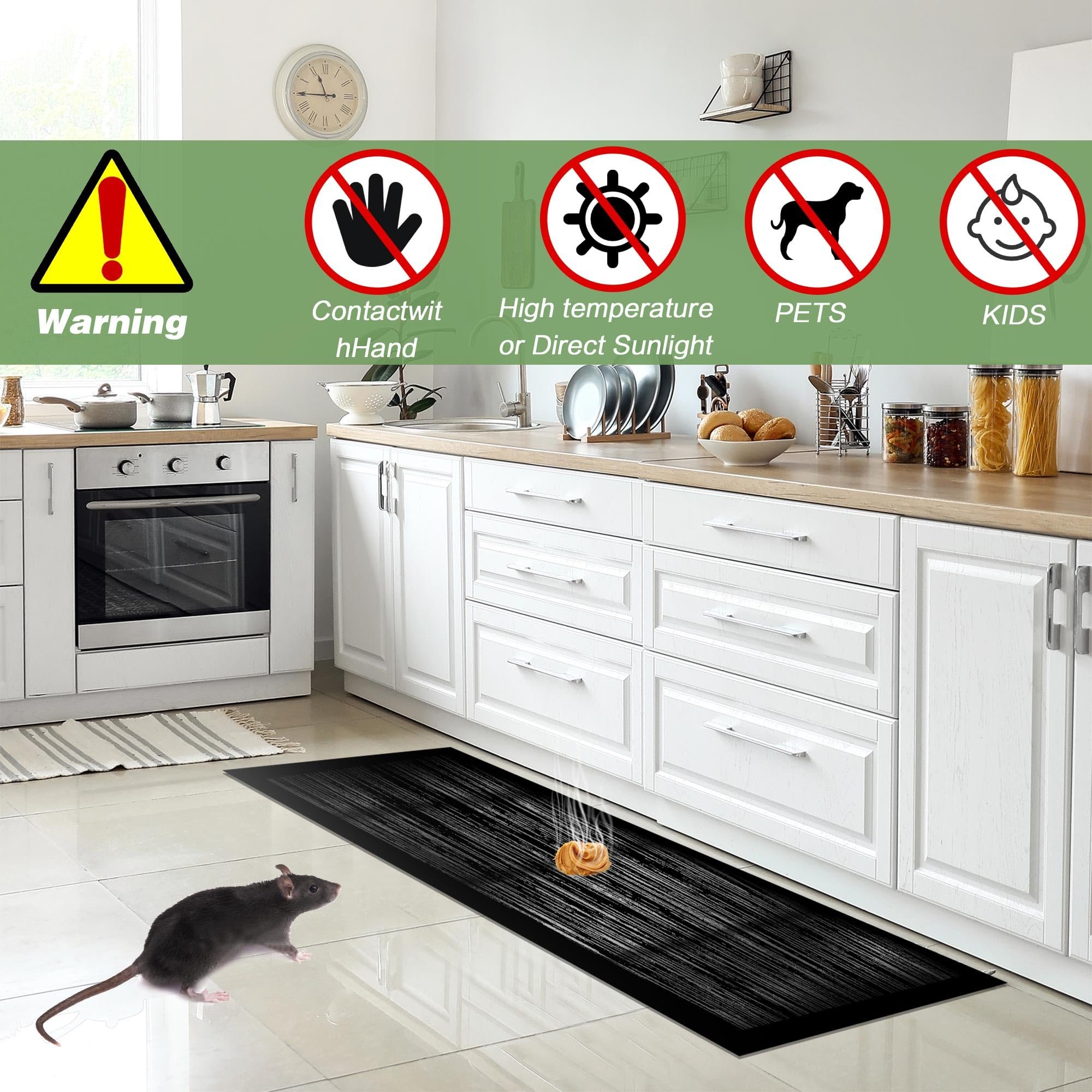 Suggested indoor placement areas for the sticky trap