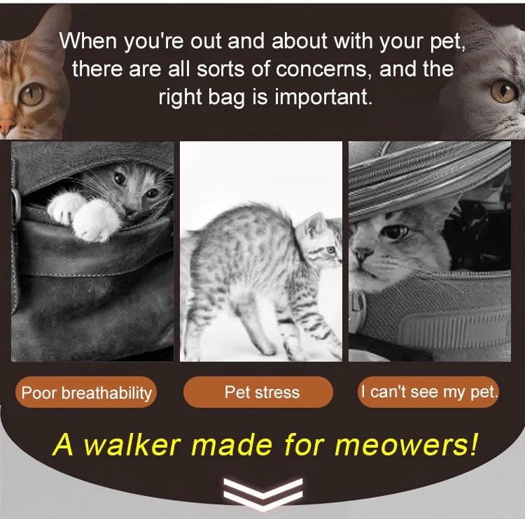 Common concerns with traditional pet carriers