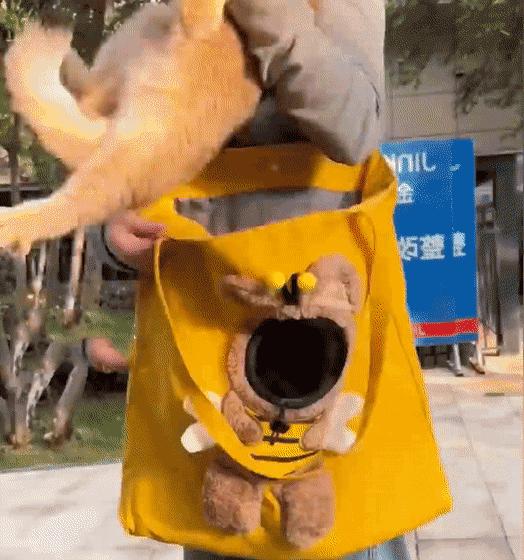 Putting pet into bee carrier bag