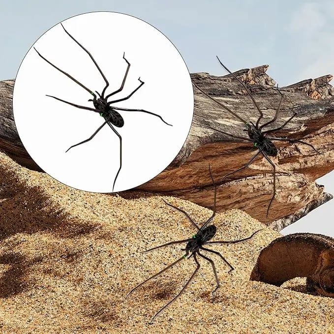 Koelkastmagneet met spinnenmotief, realistische spinnenmagneten, levensechte spinnenmagneten voor op de koelkast, schattige spinnendecoraties, verwijderbare magnetische stickers voor binnen en buiten, voor koelkast, garagedeur of auto.