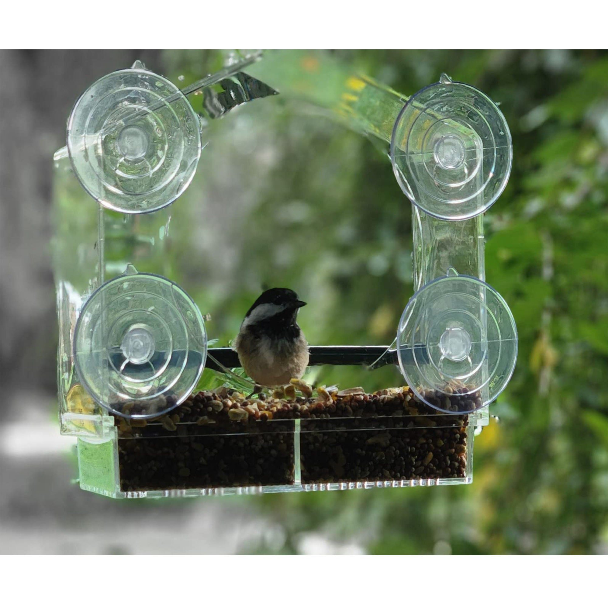🔥Window Bird Feeder for OutsideFREE SHIPPING