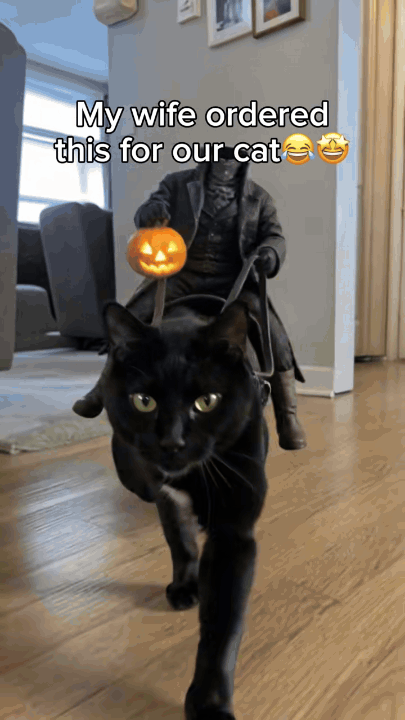 Headless Horseman Rider Pet Costume in motion