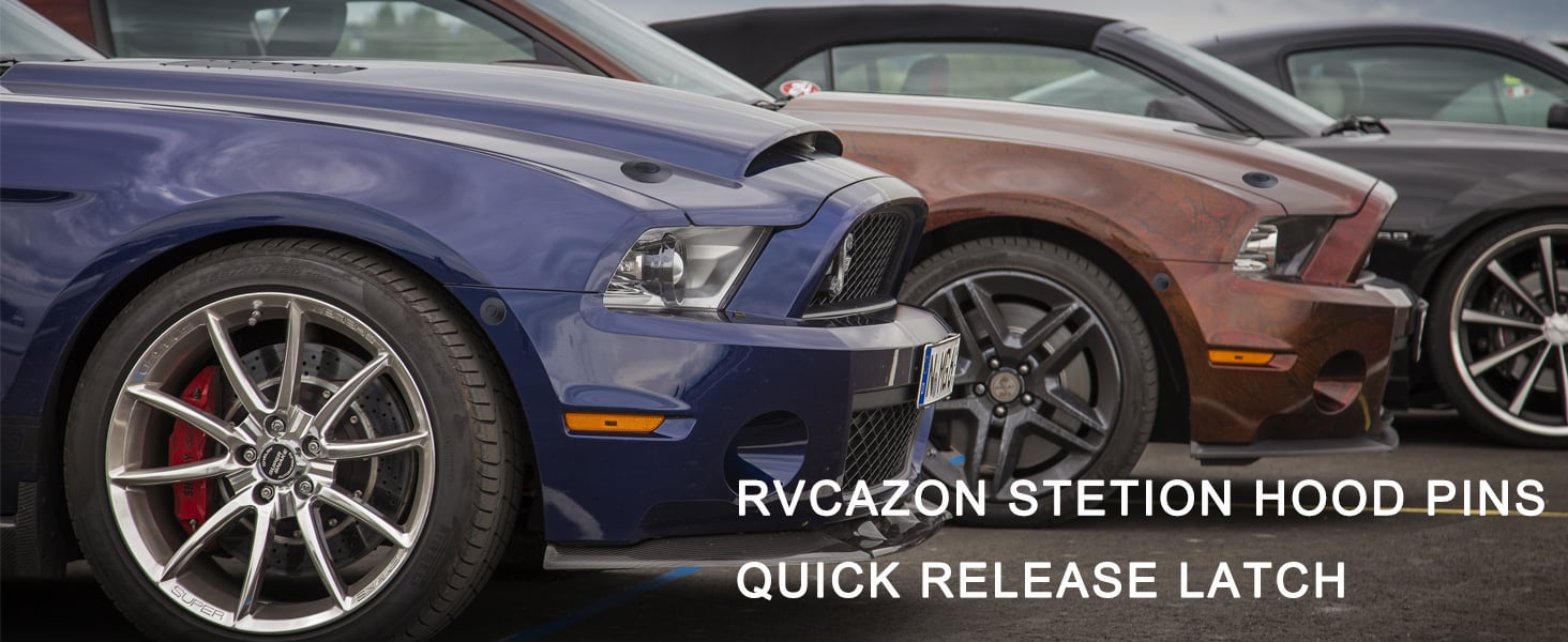 RVCAZON Hood Pins Banner