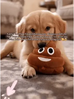 People Tacking Poop 🎁Lowest price ever💥Funny Talking Poop Plush Toy – Makes Fart Sounds ...