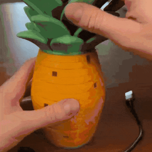 Pineapple cable organizer in use