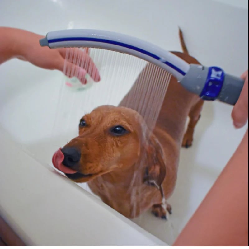 Pet Shower Groomer