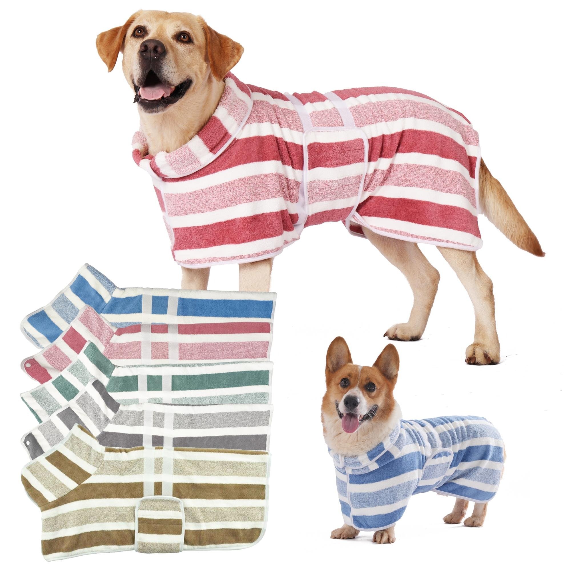 cozy dog after bath wearing drying bathrobe