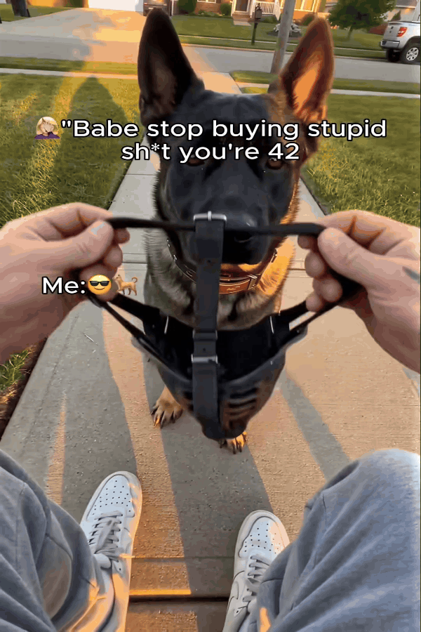 Dog wearing Fang Series 001 Hellhound Pet Mask