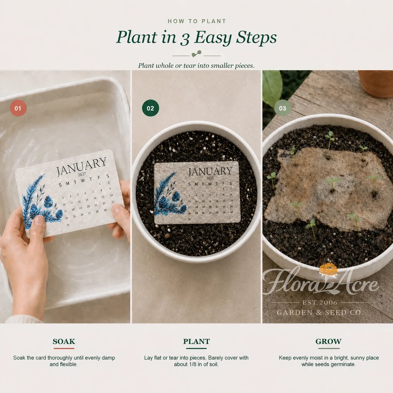 Seeds embedded into plantable paper
