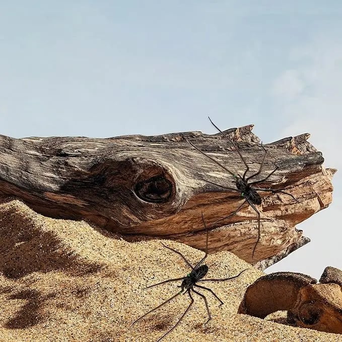 Productintroductie van spinnenkoelkastmagneten, realistische spinnenmagneten, levensechte spinnenkoelkastmagneten, schattige spinnenontwerpen, verwijderbare magnetische stickers voor binnen en buiten, voor koelkast, garagedeur of auto.