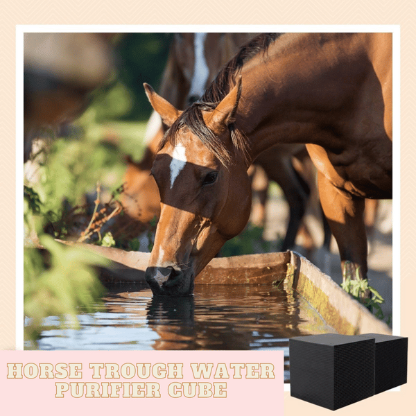 🔥 Horse Trough Water Purifier Cube Buy 2 Free Shipping hugfreedom
