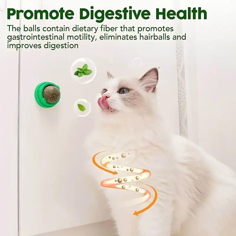 Catnip Toys Balls 4 Pcs, Extra Cat Energy Ball, Edible Kitten Silvervine Toys, Healthy Kitty Teeth Cleaning Dental Chew Toys, Cat Wall Treats Cat Stuf