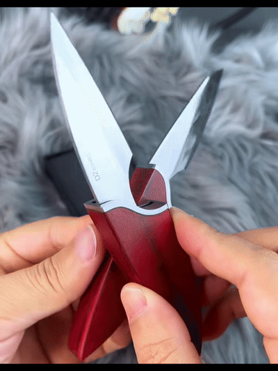 [video-to-gif output image]