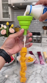 DIY Ice Pop Bags