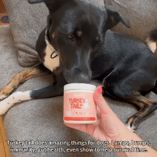 1_2_a69ba2c4-4f22-48e5-a5e0-6831ce5cb00a.gif (320×297)