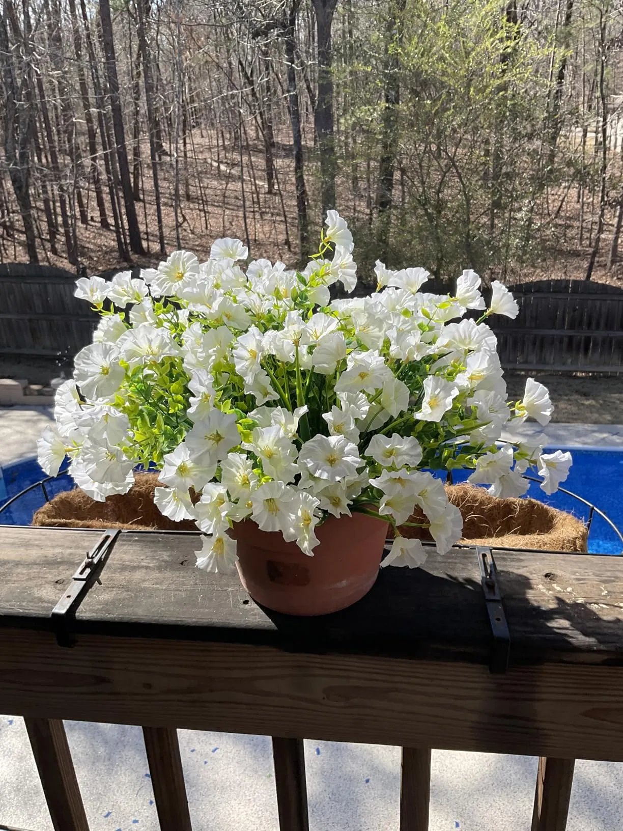 So pretty!