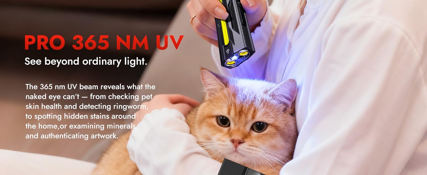 flashlight rechargeable