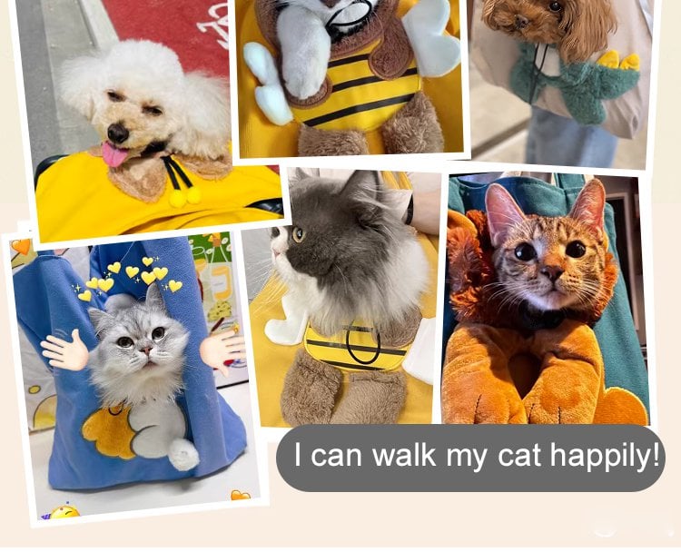 Cats and small dogs using cute carrier bags